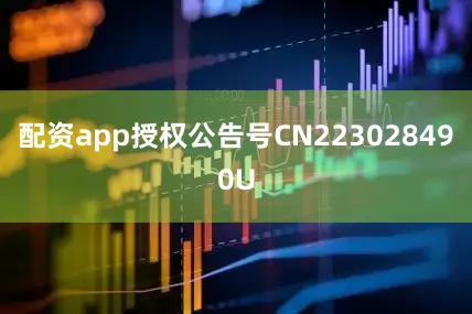配资app授权公告号CN223028490U
