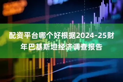 配资平台哪个好根据2024-25财年巴基斯坦经济调查报告